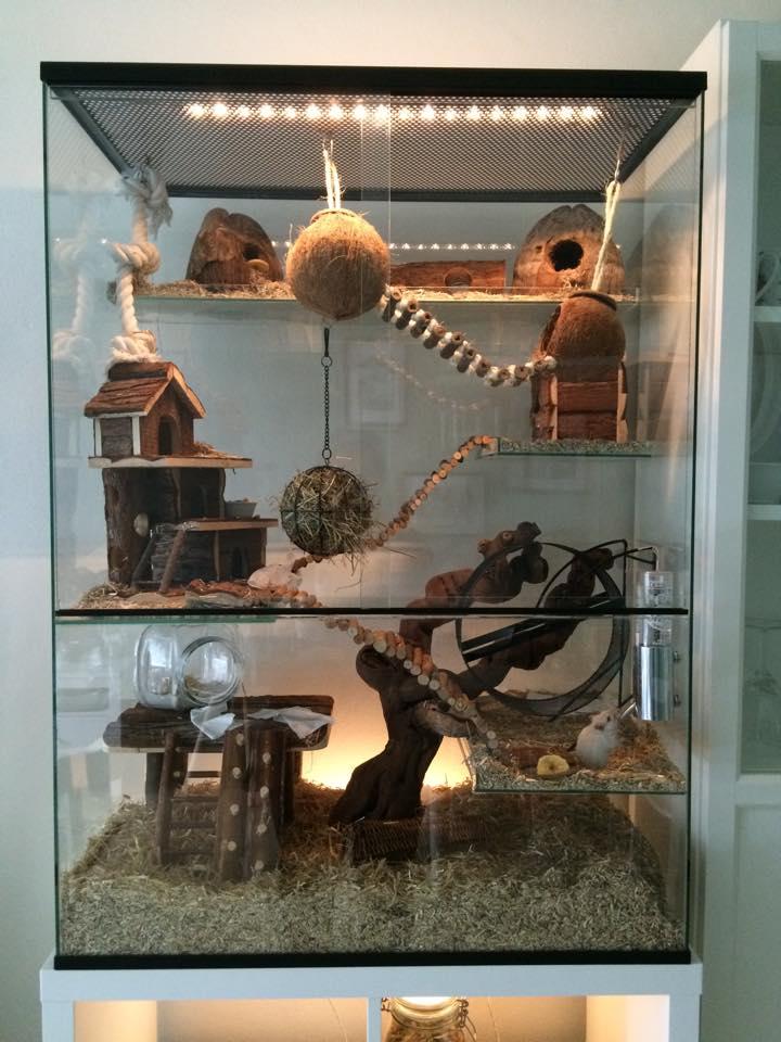 75x40x100 Gerbil / Degoe kooi van glas met schuifruiten